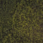 photo 1433733071959 30cd185d14a8