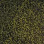 photo 1433733071959 30cd185d14a81