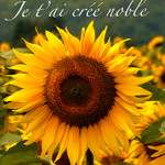 Je tai créé noble PubBC