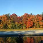 From the National Spiritual Assembly: the commemoration of the Twin Holy Birthdays