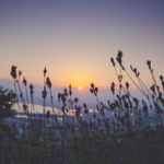 3O1A6709 2Edited