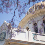 The Shrine of the Bab purple blossoms edited