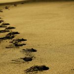 alex wigan travel in sand edited