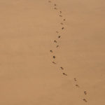 maxime horlaville travel on foot edited