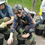 Tree seedlings planted for grounds of Canada’s future House of Worship