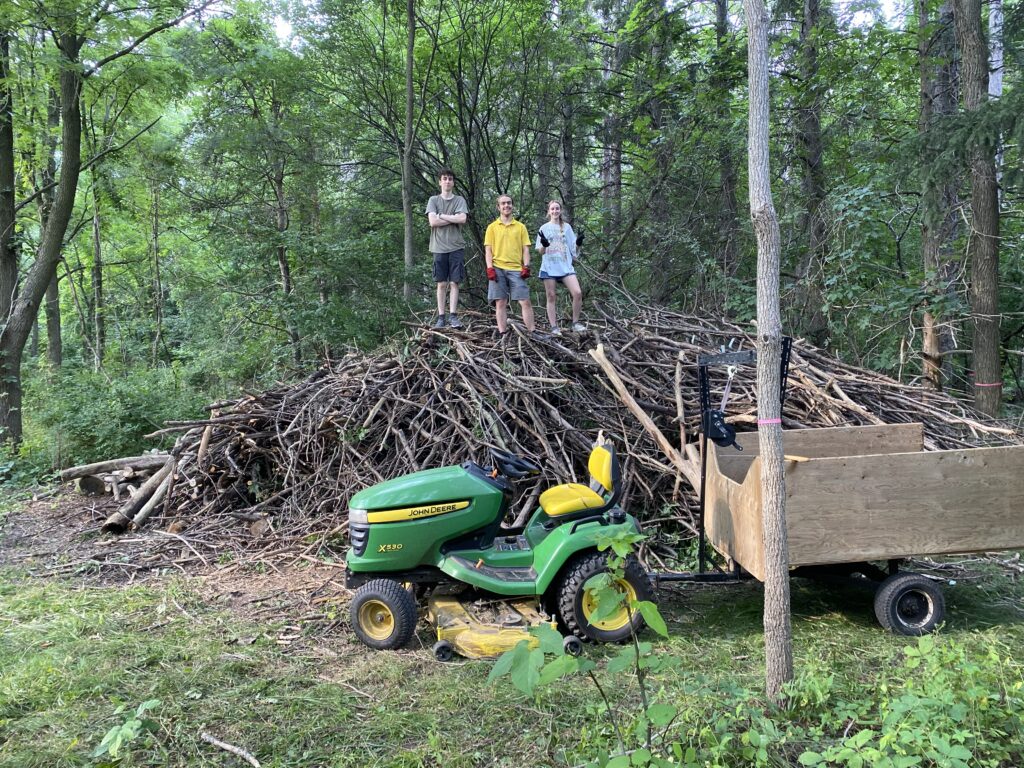 Pile Of Wood