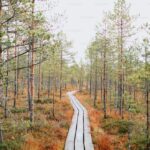 Bahá’í Councils 2025 – 2026