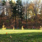 Special initiative – Tree planting project