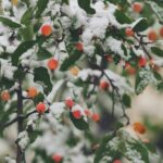 Message from the Universal House of Justice