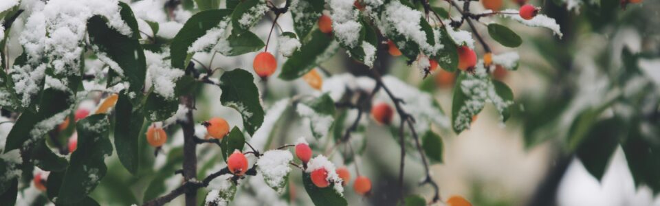 Message from the Universal House of Justice