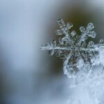 In memoriam September-December 2025