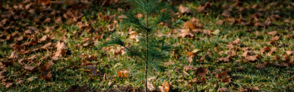 Fall/Winter 2025/2026 issue of Bahá’í Canada