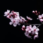 Message for widespread distribution to the friends