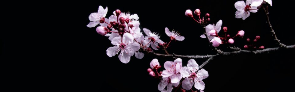 Message for widespread distribution to the friends