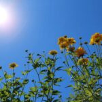 Persian conference in Acuto, Italy