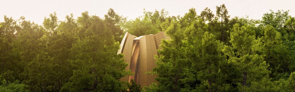 Links to livestreaming of the unveiling ceremony and BWNS story